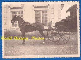 Photo Ancienne - SULLY Sur LOIRE Ou Environs - Bel Attelage , Chateau ? Belle Maison à Identifier - Caléche - Beroepen