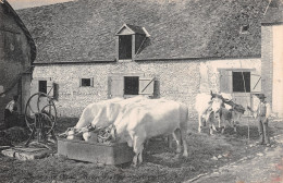 28-EN BEAUCE FERME-N°T2569-C/0329 - Autres & Non Classés