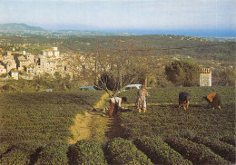 06-TOURRETTES SUR LOUP-N°576-C/0091 - Autres & Non Classés