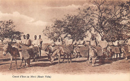 Burkina-Faso - Convoi D'ânes Au Pays Mossi - Ed. Lévy & Neurdein  - Burkina Faso