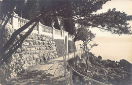 Croatia - OPATIJA Abbazia - Real Photo Erich Bährendt Year 1911 - Croazia