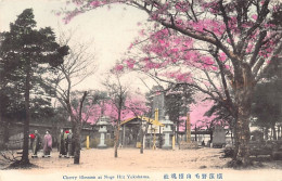 Japan - YOKOHAMA - Cherry Blossom At Noge Hill - Yokohama