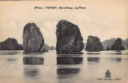 Vietnam - Baie D'Along HA LONG - Les Pleurs - Ed. P. Dieulefils 299 Bis - Viêt-Nam