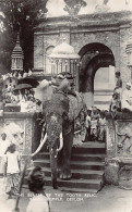 Sril Lanka - KANDY - The Elephant Bearer Of The Tooth Relic To The Temple - REAL PHOTO - Publ. Plâté Ltd. 34 - Sri Lanka (Ceilán)