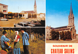 57-CHÂTEAU SALINS-N°579-C/0281 - Chateau Salins