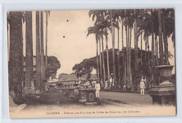 Guyane - CAYENNE - Tableau Pris D'un Banc De L'Allée Des Palmistes, Rue Lallouette - Ed. Bruère Dawson  - Sonstige & Ohne Zuordnung