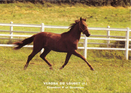 94-VINCENNES-VENTE DE YEARLINGS-N°581-D/0267 - Vincennes