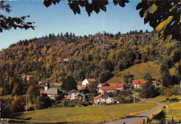 88-CHÂTEAU LAMBERT-N°581-C/0027 - Sonstige & Ohne Zuordnung