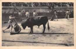 30-NIMES-COURSE DE TAUREAUX-N°582-H/0257 - Nîmes