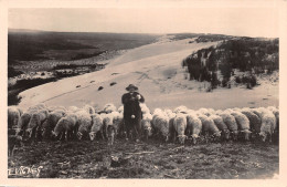 40-SCENE LANDAISE-MOUTONS SUR LES DUNES-N°583-C/0287 - Autres & Non Classés