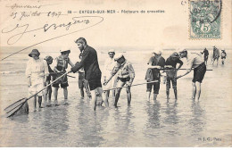 CAYEUX SUR MER - Pêcheurs De Crevettes - Très Bon état - Other & Unclassified