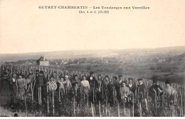 GEVREY CHAMBERTIN - Les Vendanges Aux Varoilles - Très Bon état - Gevrey Chambertin