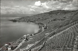 11324776 Lavaux VD Panorama Weinberge Genfer See Lavaux VD - Andere & Zonder Classificatie