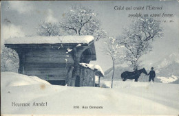 11324695 Les Ormonts Une Ferme Cheval Les Ormonts - Otros & Sin Clasificación