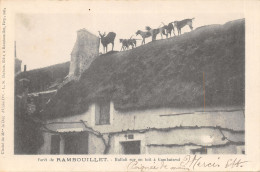 78-RAMBOUILLET-CHASSE A COURRE-N°585-A/0379 - Rambouillet