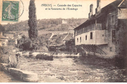 ARBOIS - Cascade Des Capucins Et Le Panorama De L'Ermitage - Très Bon état - Arbois