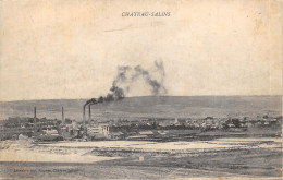 57-CHÂTEAU SALINS-N°585-D/0091 - Chateau Salins