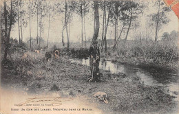 Un Coin Des Landes - Troupeau Dans Le Marais - Très Bon état - Otros & Sin Clasificación