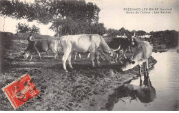 PRECHACQ LES BAINS - Rives De L'Adour - Les Vaches - Très Bon état - Autres & Non Classés