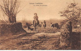 Scènes Landaises - Le Retour Du Paccage - Très Bon état - Andere & Zonder Classificatie