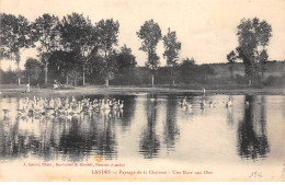 LANDES - Paysage De La Chalosse - Une Mare Aux Oies - Très Bon état - Other & Unclassified