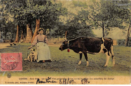 LANDES - Soir D'été - Les Jeunes Filles Gardent Les Vaches Sur Les Bordures Des Champs - état - Autres & Non Classés