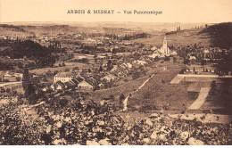 ARBOIS Et MESNAY - Vue Panoramique - Très Bon état - Arbois