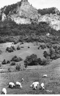 MESNAY - La Roche Maldru - Très Bon état - Sonstige & Ohne Zuordnung