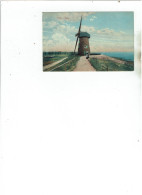 Doel - Molen - Beveren-Waas