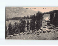 ALLOS : La Forêt De Vacheresse, L'Abreuvoir - Très Bon état - Sonstige & Ohne Zuordnung