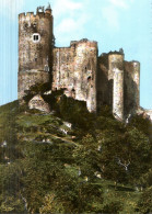 NAJAC - Le Château Du XIII Siècle - Najac