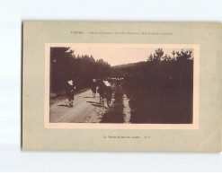 L'ESTIBO : Colonie De Vacances Des Petits Parisiens à Mur-de-Barrez, Entrée Du Bois De Lacalm - Très Bon état - Altri & Non Classificati