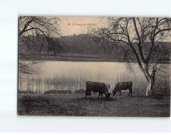 L'Etang De MADIC - Très Bon état - Sonstige & Ohne Zuordnung