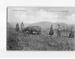 Récolte Des Pommes De Terre - Très Bon état - Autres & Non Classés