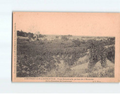 GEVREY CHAMBERTIN : Vue Générale Prise De L'entée De La Combe De Lavaux - Très Bon état - Gevrey Chambertin