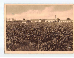 LA SOURCE PERRIER : Ensemble Des Bâtiments Au Milieu Du Vignoble - Très Bon état - Andere & Zonder Classificatie