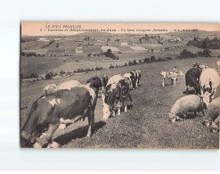 Environs De Saint-Laurent Du Jura, Un Beau Troupeau Jurassien - Très Bon état - Other & Unclassified