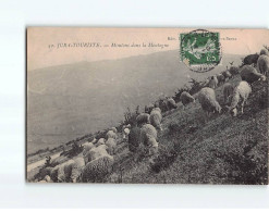 Moutons Dan La Montagne - Très Bon état - Sonstige & Ohne Zuordnung