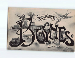 BOYNES : Carte Souvenir - Très Bon état - Sonstige & Ohne Zuordnung