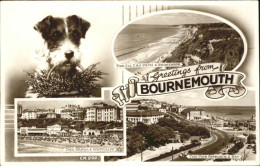 11321809 Bournemouth UK Sands And Westcliff Pier And Bay The Zig Zag Path Promen - Autres & Non Classés