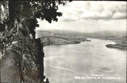 11321567 Buergenstock Blick Vom Felsenweg Auf Vierwaldstaettersee Buergenstock - Andere & Zonder Classificatie