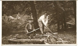 BLIDARI - Maramures - Taietori De Lemne In Padure , CP Foto - Rumänien