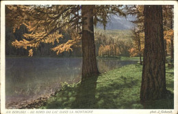 11321495 Zuerich Au Bord Du Lac Dans La Montagne Am Bergsee Zuerich - Otros & Sin Clasificación