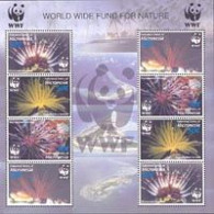 MICRONESIE 2005 - W.W.F. - Etoiles De Mer - Bloc - Unused Stamps