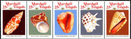 MARSHALL 1989 - Coquillages - 5 V.  - Marshalleilanden