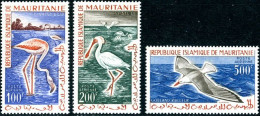 MAURITANIE 1961 - Oiseaux De Poste Aérienne - 3 V. - Mauritania (1960-...)