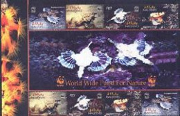 MALDIVES 2004 - W.W.F. - Poisson Dragonfish - Bloc De 2 Séries - Nuovi