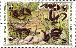 MOLDAVIE 1993 - W.W.F. - Serpents - 4 V. - Schlangen