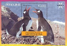 MICRONESIE 2007 - Pingouins Gentoo - BF - Pinguini