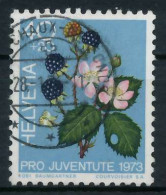 SCHWEIZ PRO JUVENTUTE Nr 1015 Zentrisch Gestempelt X6AA21A - Used Stamps